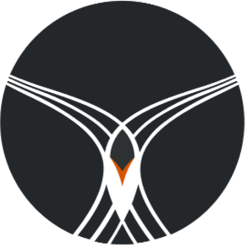 Tern Systems Logo